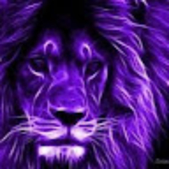 Meet your Posher, Farida - Picture 1 of 1